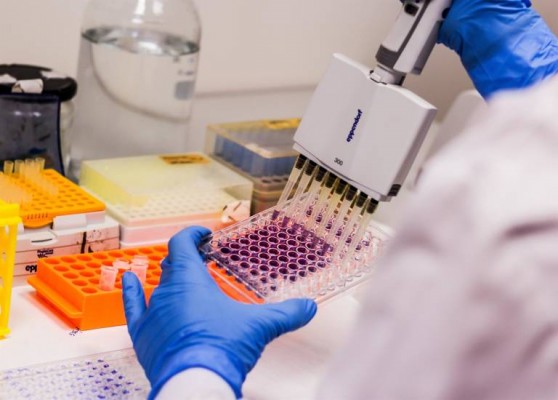 AntalGenics participa en un proyecto europeo para tratar el dolor crónico con nanopartículas