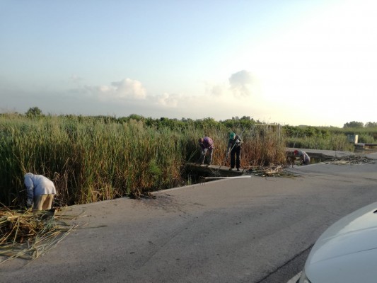 Nules contrata a 91 trabajadores agrarios para la limpieza de acequias y barrancos