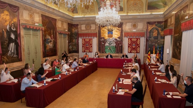 La Diputación se une contra la plaga citrícola del cotonet y para restablecer el AVE a Madrid