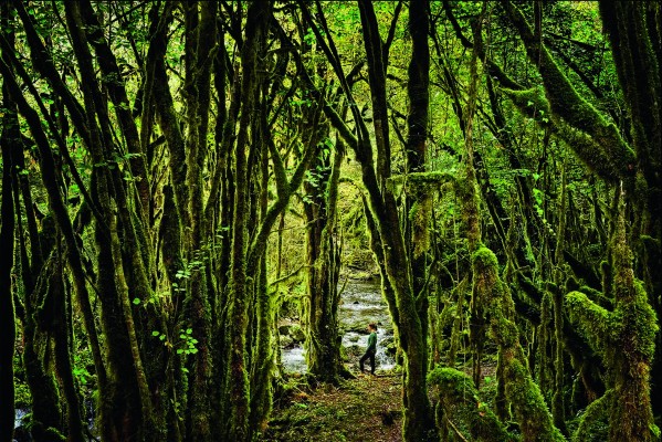 Mindfulness en la ruta de los lagos pirenaicos