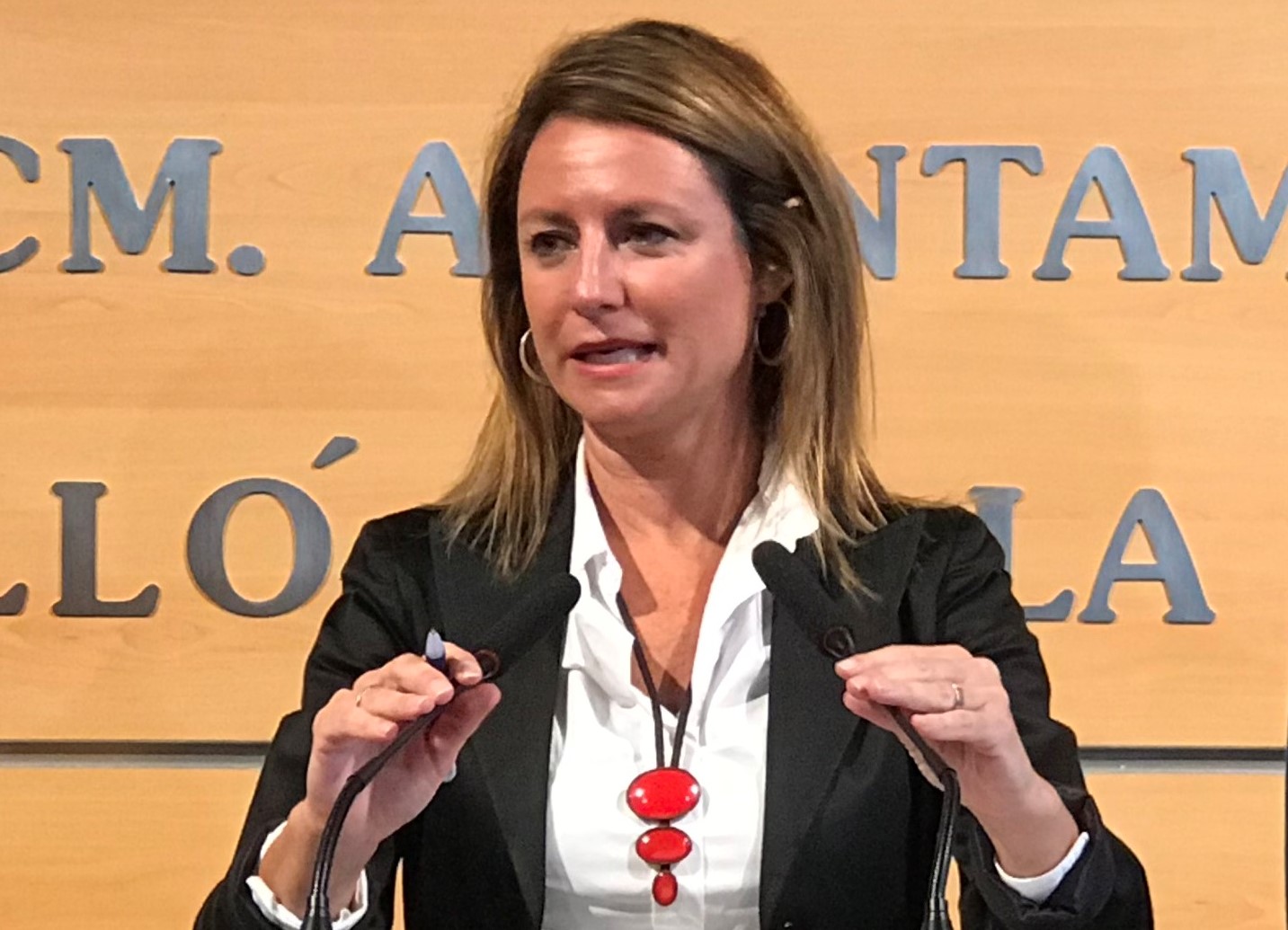 El PP pide aumentar en 700.000 euros la partida de los presupuestos para la desinfección de viales