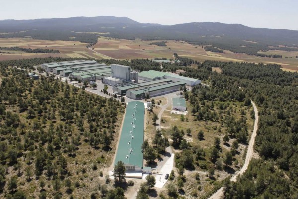 El proveedor de huevos de Mercadona sortea la caída de precios del sector