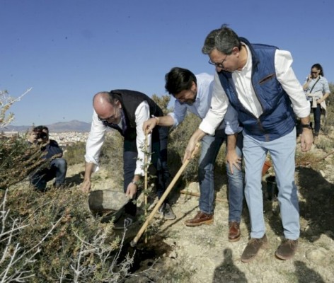 Hacienda rechaza el recurso de Geamur y permite adjudicar parte del contrato de jardines de Alicante