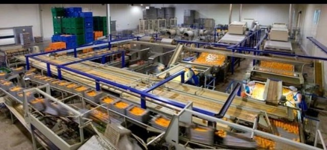 Guillem Export alcanza un acuerdo con Atitlan para comercializar los productos de Frutas Romu 