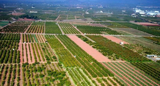 Las Corts piden al Consell la creación de un Banco de Tierras Valenciano