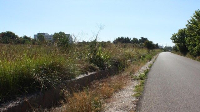 Castelló crea un departamento para asegurar la limpieza de solares abandonados