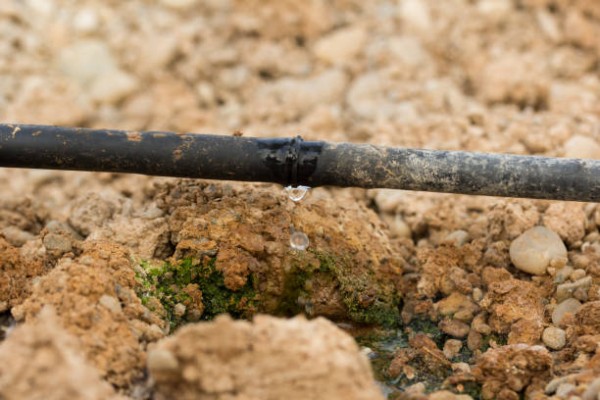 La agricultura regional redujo el consumo de agua un 6% en apenas dos años