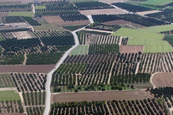 El mundo rural tiene futuro
