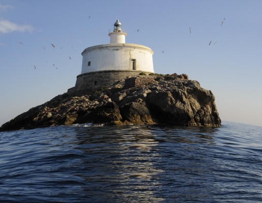 El CSIC reclama más espacios en la costa de Murcia para tiburones y rayas