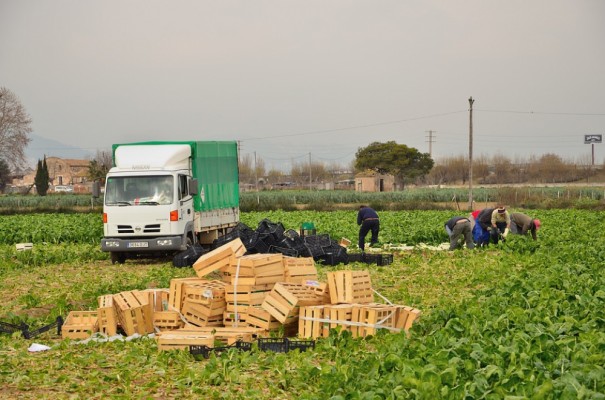 Información Agraria. Semana 28, año 2020