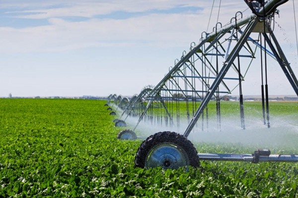 Telenatura trabaja en nuevos proyectos de investigación en el sector de la agricultura