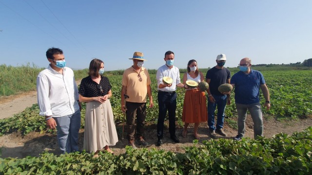 La Comunidad de Regantes de Carrizales espera obtener este año más de medio millón de kilos de melones  