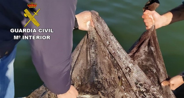 
Mercado negro: cuatro pescadores detenidos con 180 kilos de anguila valorados en 2.000 euros