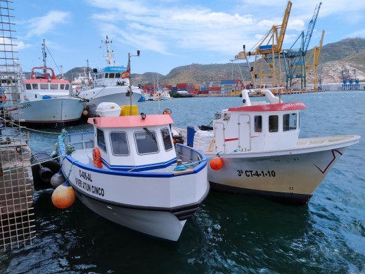 Ruta turística marinera, bautizos de buceo y la pesca en Cartagena: tres proyectos con olor a mar 