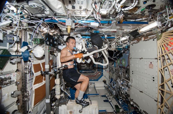 Un nuevo biomaterial, posible protección contra la radiación de rayos X o vuelos espaciales
