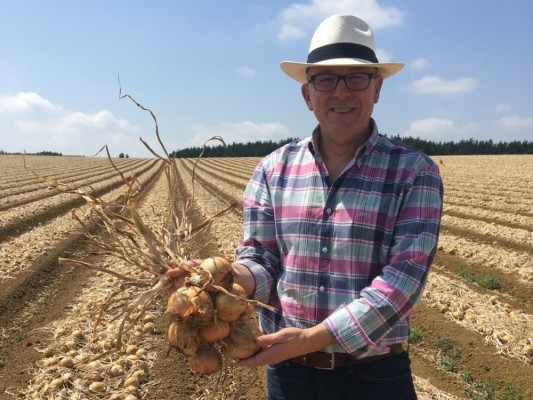 Alfonso Tarazona (Cebollas Tara): 