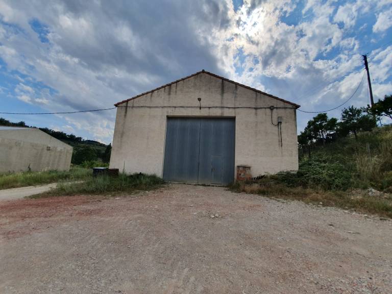 Francis Puig incluyó una nave abandonada de su padre para justificar las subvenciones - 