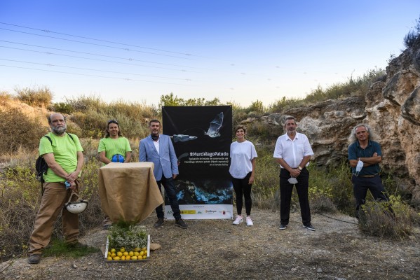 Ailimpo se alía con ANSE en la defensa de los murciélagos
