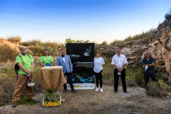 Un hogar para el murciélago patudo entre los cultivos de limón y pomelo
