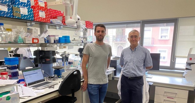 Prueban con éxito una herramienta bioinformática que permite diagnosticar leucemias y linfomas
