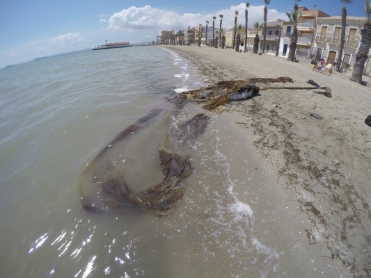 Costas retirará los objetos que ocupan las playas de Los Alcázares para que se puedan reabrir al baño