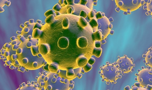 Un estudio apunta que la cepa actual de la covid-19 a nivel mundial es la más infecciosa