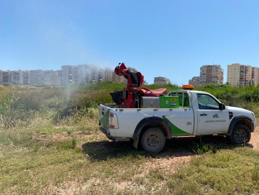 Benicàssim intensifica los trabajos contra los mosquitos y otras plagas de cara al verano
