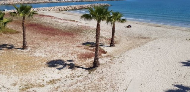 Las playas de Les Fonts en Alcossebre y las de Fortí-Fora Forat de Vinaròs reciben Banderas Negras