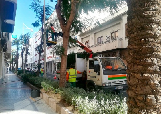Altea crea el Plan de Ocupación Municipal con 40 plazas 