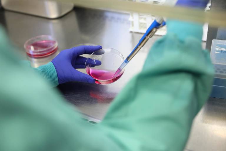 Sanidad detecta un brote de coronavirus en la ciudad de Castelló con 16 positivos 