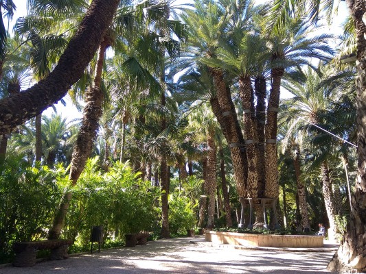 El Jardín Artístico Nacional Huerto del Cura reabrirá sus puertas el 3 de julio