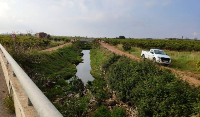 Vila-real aconsegueix una subvenció per a que 37 aturats agrícoles netegen camins rurals
