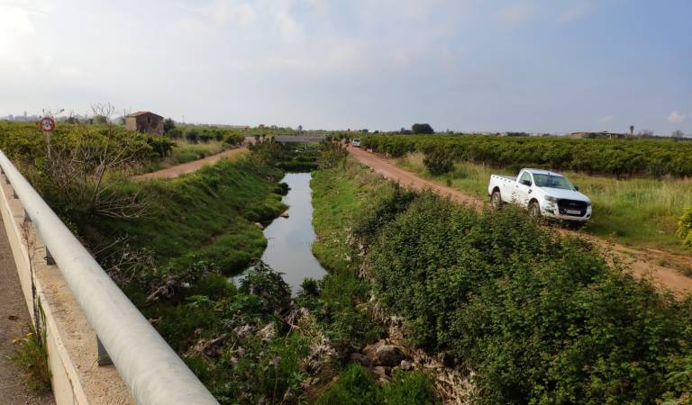 Vila-real aconsegueix una subvenció per a que 37 aturats agrícoles netegen camins rurals