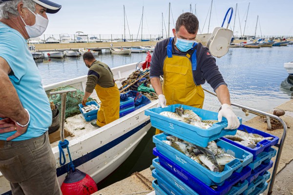 San Pedro del Pinatar echa un cable a los pescadores con ayudas de 14.000 euros para tres armadores