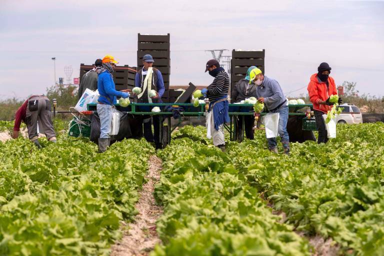 Las amenazas de EEUU abren un verano de desafíos comerciales agroalimentarios