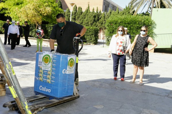Alicante entrega a Cáritas y ONG doce toneladas de alimentos recogidos en la Ofrenda Solidaria 