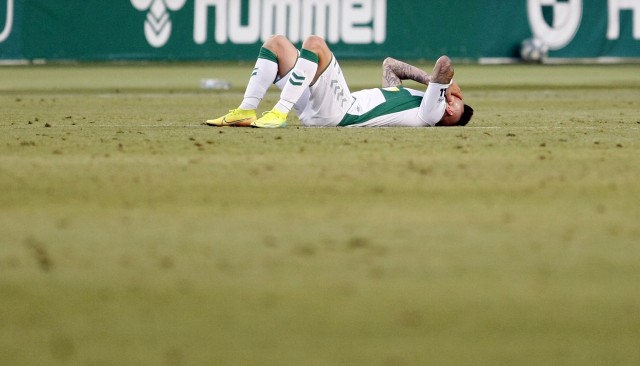 Tropezón franjiverde
