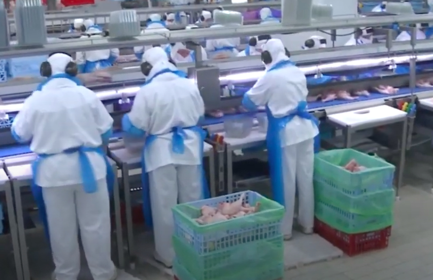 La empresa cárnica Uvesa detecta seis casos positivos de coronavirus en su plantilla