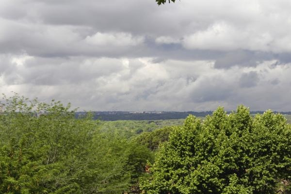 El Instituto Coordenadas alerta de que sólo los bonos de carbono con certificación oficial permiten modelos eficientes de compensación de gases de efecto invernadero