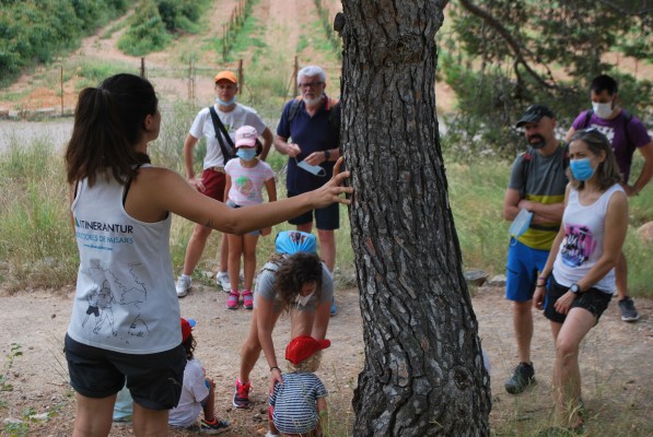 Voluntarios plantan diversas especies de árboles en el paraje de la Magdalena