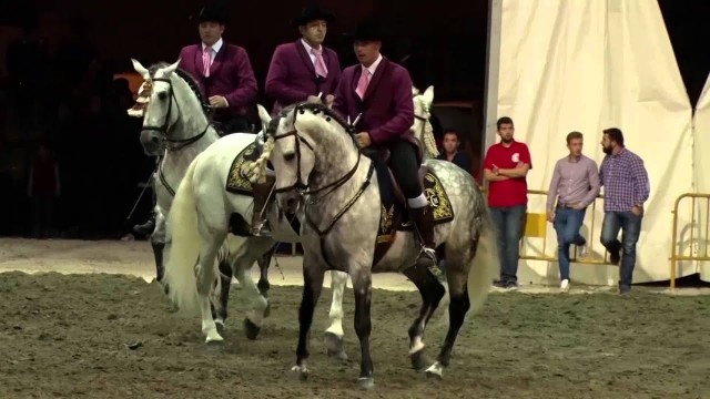 Lorca cancela su Feria Internacional del Caballo, una de las cinco grandes del país, por la covid
