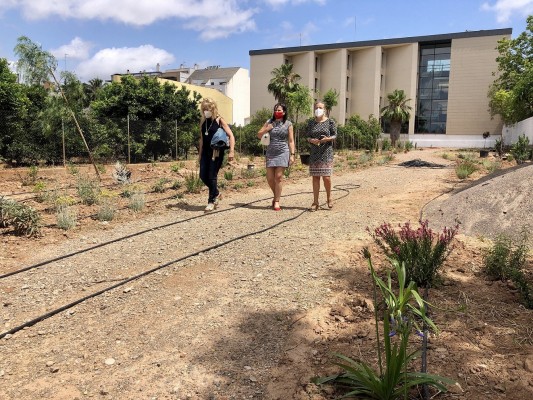 Almassora y la empresa UBE transforman un solar en desuso en un nuevo espacio sostenible
