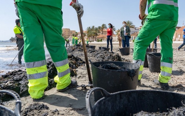 Hasta 130 operarios dedicados a retirar las algas que colapsan y se descomponen en el Mar Menor 