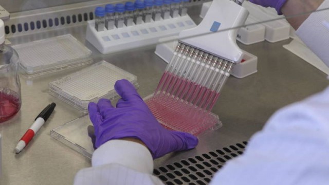 PharmaMar y su gran potencial alcista