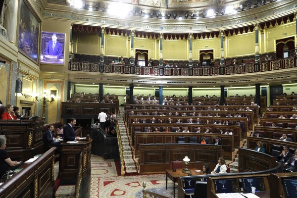 Noviazgos parlamentarios