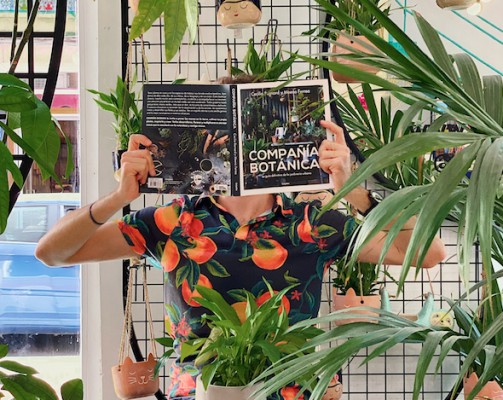Viaje al 'boom' de la jardinería casera: razones para convertir tu salón en una selva doméstica
