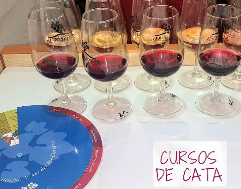 La DO Valencia retoma sus cursos de cata tras la implantación de un estricto protocolo de seguridad