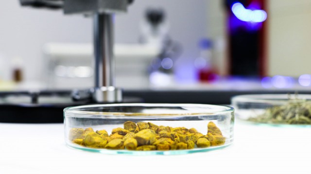 Idai Nature, al frente de la innovación europea en Biocontrol