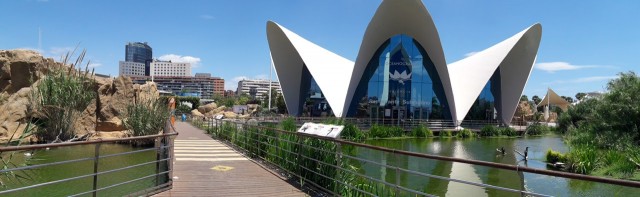 El Oceanogràfic abrirá en exclusiva para los equipos durante la fase final de la Liga Endesa