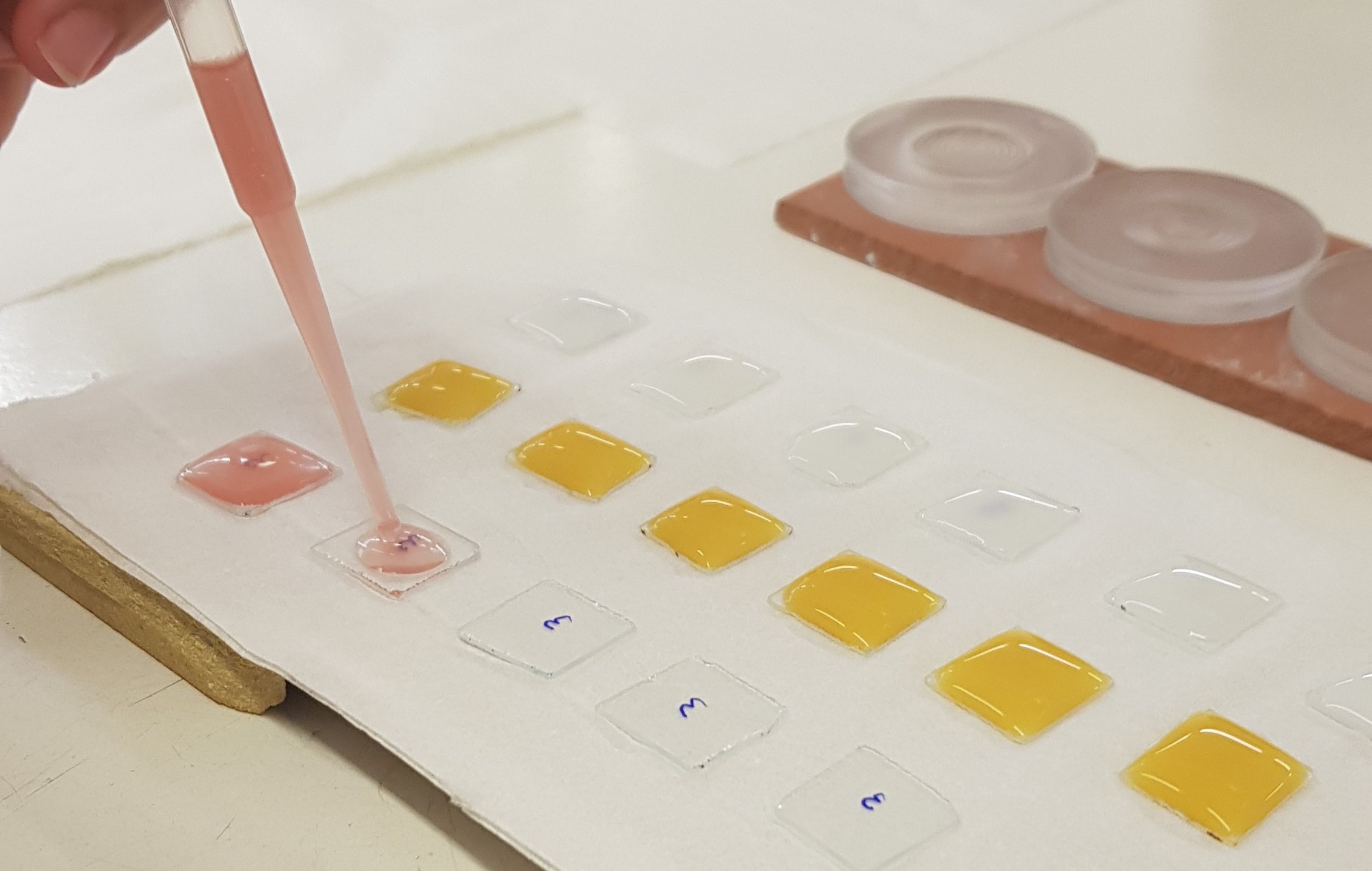 El ITC finaliza la primera anualidad de su proyecto para detectar materiales relacionados con la salud 